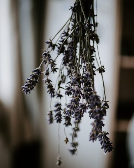 ästherische Öle, Lavendel, Haarpflege